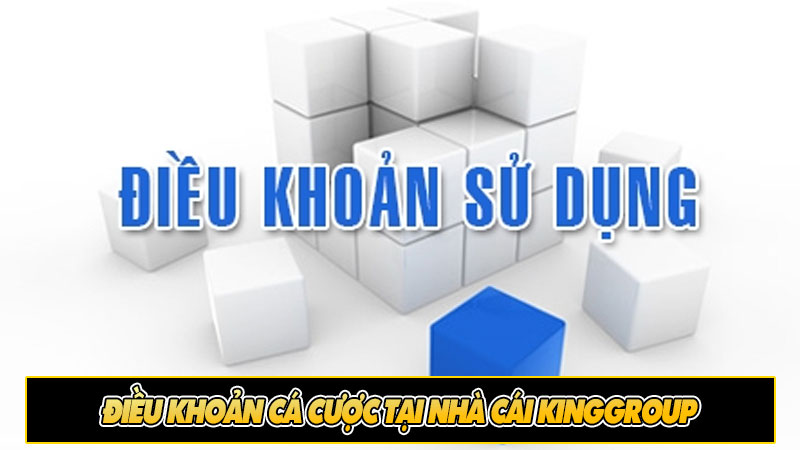 Điều khoản cá cược tại nhà cái Kinggroup